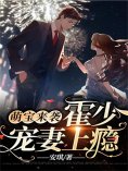eBook: 萌宝来袭，霍少宠妻上瘾