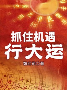 ebook: 抓住机遇：行大运
