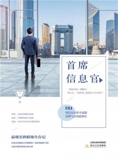 ebook: 首席信息官（上）