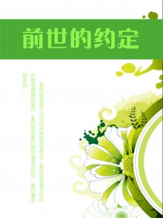 eBook: 前世的约定