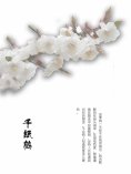 eBook: 千纸鹤