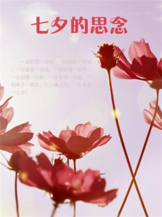 eBook: 七夕的思念