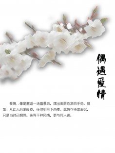 eBook: 偶遇爱情