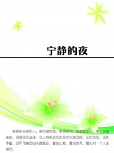 eBook: 宁静的夜