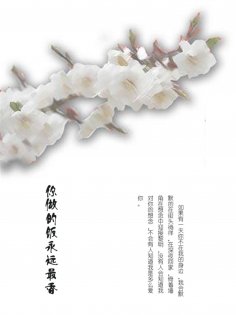 eBook: 你做的饭永远最香