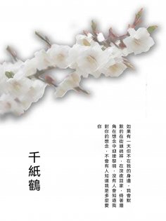 ebook: 千紙鶴