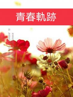 ebook: 青春軌跡