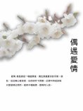 ebook: 偶遇愛情