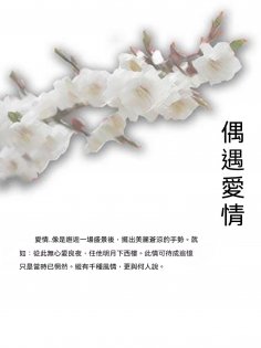 ebook: 偶遇愛情