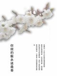 ebook: 你做的飯永遠最香