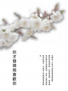 ebook: 你才發現我喜歡你