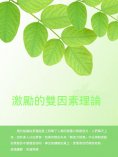 ebook: 激勵的雙因素理論