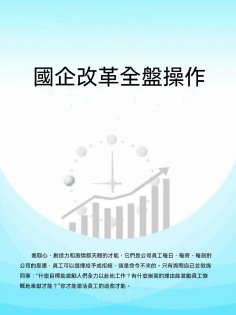 ebook: 國企改革全盤操作