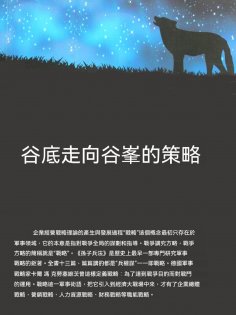 ebook: 谷底走向谷峯的策略