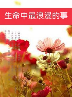 ebook: 生命中最浪漫的事