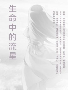 ebook: 生命中的流星