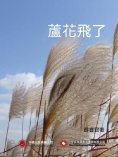 ebook: 蘆花飛了