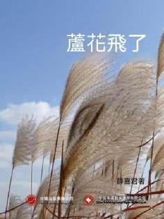ebook: 蘆花飛了