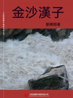 ebook: 金沙漢子