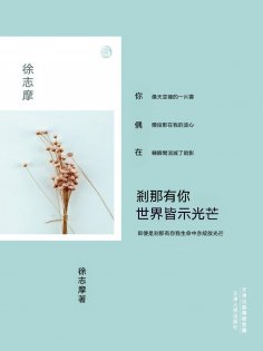 ebook: 刹那有你，世界皆示光芒
