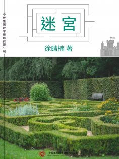 ebook: 迷宮