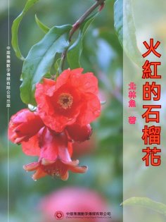 ebook: 火紅的石榴花