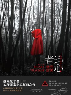 ebook: 追心者：完美迷宮