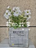 eBook: 花的故事（一）