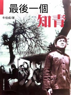 eBook: 最後一個知青