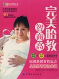 ebook: 完美胎教智商高
