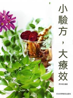 eBook: 小驗方，大療效