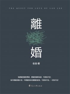 ebook: 離婚