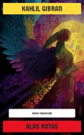 ebook: Alas rotas