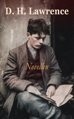 ebook: D. H. Lawrence - Novellen