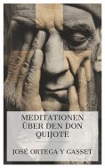 ebook: Meditationen über den Don Quijote