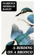 eBook: A-Birding on a Bronco