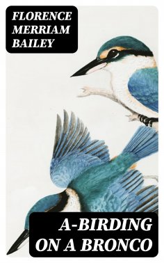 eBook: A-Birding on a Bronco
