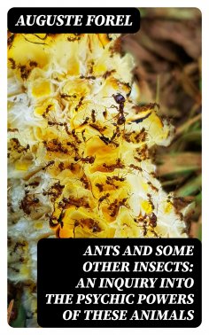 eBook: Ants and Some Other Insects: An Inquiry Into the Psychic Powers of These Animals