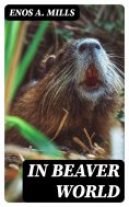 eBook: In Beaver World