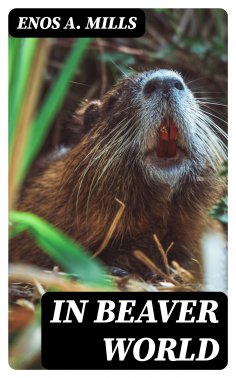 eBook: In Beaver World