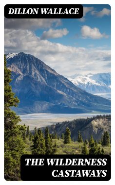 eBook: The Wilderness Castaways