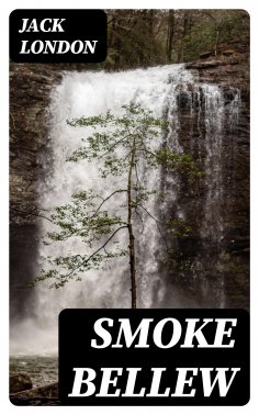 eBook: Smoke Bellew