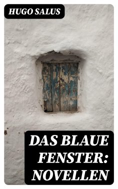 eBook: Das blaue Fenster: Novellen