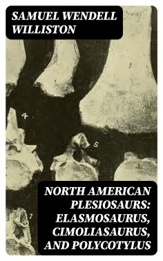 eBook: North American Plesiosaurs: Elasmosaurus, Cimoliasaurus, and Polycotylus