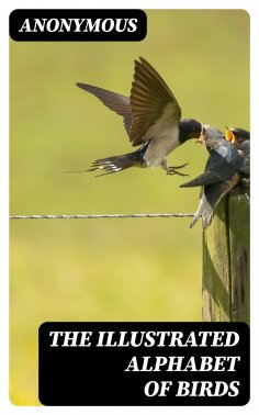 eBook: The Illustrated Alphabet of Birds