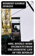 eBook: Mrs. Bindle: Some Incidents from the Domestic Life of the Bindles