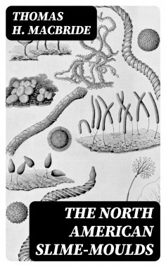eBook: The North American Slime-Moulds