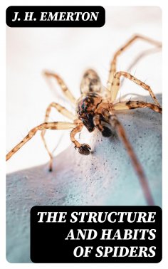eBook: The Structure and Habits of Spiders