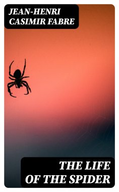 eBook: The Life of the Spider