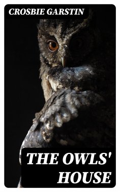 eBook: The Owls' House